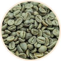 Arábica Fine Cup